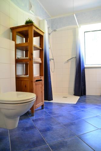 a bathroom with a toilet and a shower at Ferienstadl - Hammerau in Göstling an der Ybbs