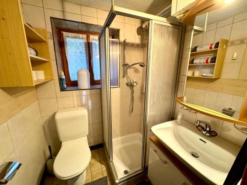 e bagno con doccia, servizi igienici e lavandino. di Rue de la Chapelle 24, 1993 Nendaz, Switzerland a Veysonnaz
