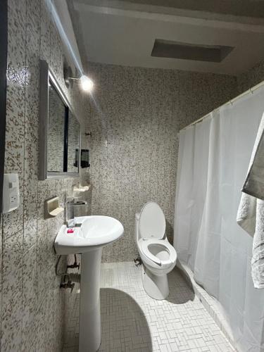 ケレタロにあるLolita & Enri, la mejor ubicación y vista en el Centro de Querétaroのバスルーム(トイレ、洗面台付)