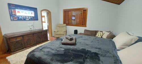ein Schlafzimmer mit einem großen Bett und einem Sofa in der Unterkunft Casa do Lobo em Pinto Bandeira in Pinto Bandeira