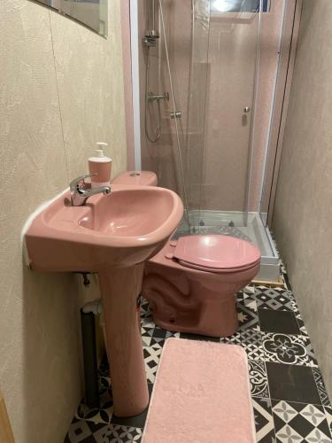 a bathroom with a pink sink and a toilet at B&B Patagonia Dreams in Puerto Montt