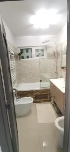La salle de bains est pourvue d'une baignoire, de toilettes et d'un lavabo. dans l'établissement Lion Crib, à Bacău