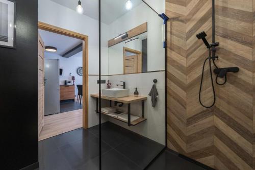 a bathroom with a sink and a mirror at Apartamenty Sosnowa - w spokojnej okolicy - Dream Apart in Ustroń