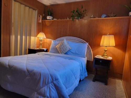 um quarto com uma cama com lençóis azuis e 2 candeeiros em Charming - 2 bedrooms basemnt, 1 full bath & rec room em Kamloops