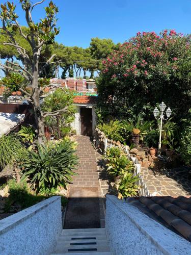 Κήπος έξω από το La Magnolia 140