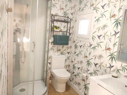 a bathroom with a toilet and a shower at Casa Raposeira in Ourense