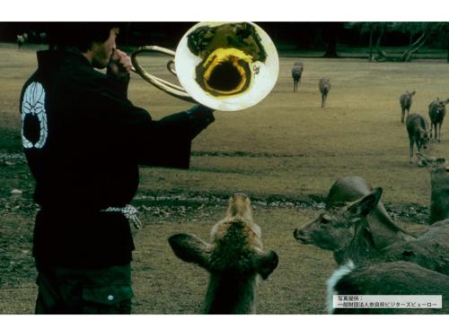 a man holding a frisbee in front of a dog at ＨＯＴＥＬ ＰＡＧＯＤＡ - Vacation STAY 65048v in Nara