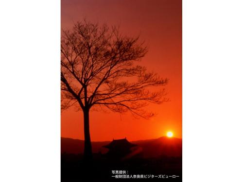 a sunset with a tree and a house at ＨＯＴＥＬ ＰＡＧＯＤＡ - Vacation STAY 65048v in Nara