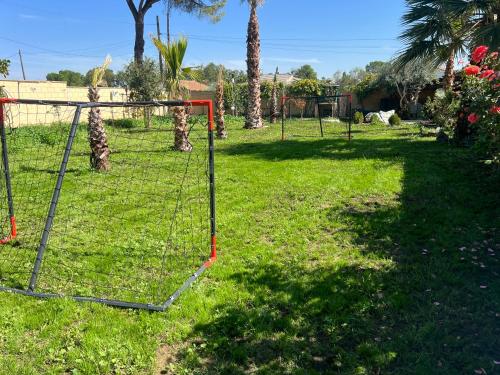a group of batting cages in a yard with palm trees at Villa palmeras in Numancia de la Sagra