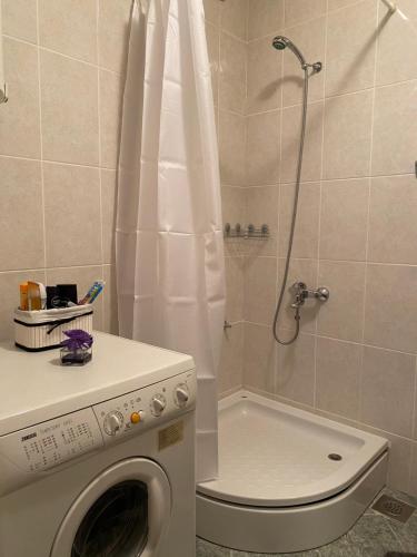 a bathroom with a shower and a washing machine at Apartman MARIJA in Bosanski Šamac