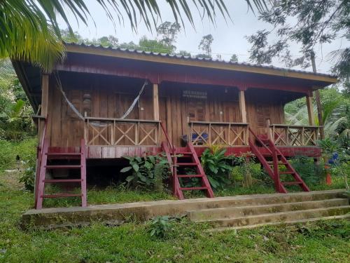Zahrada ubytování Blondies Koh Rong Bungalow