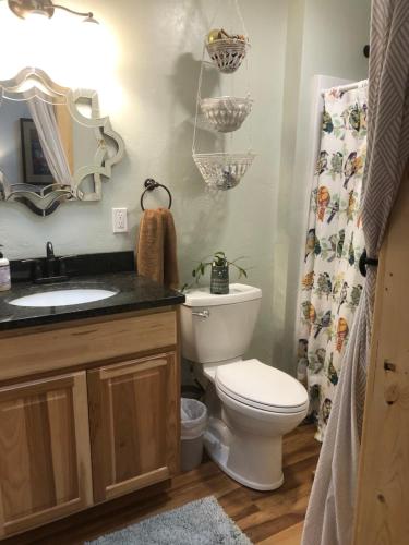 a bathroom with a toilet and a sink and a mirror at Leos Loft in Eugene