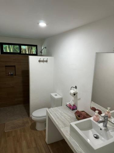 a bathroom with a toilet and a sink and a mirror at Villa Marilu B&B in Bacalar