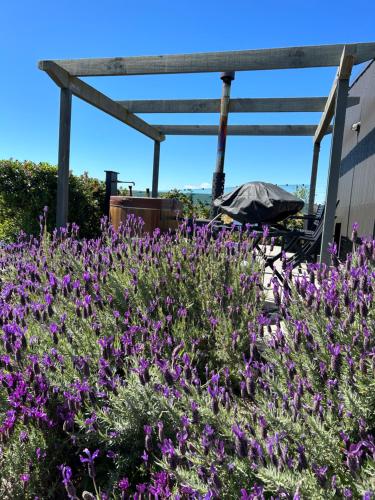 a garden with purple flowers in front of a building at The shed with a view in Mahana