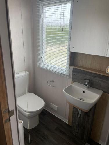 a bathroom with a toilet and a sink at Golden Palm Resort - Bordeaux Deluxe - Coastal Caravan Breaks in Chapel Saint Leonards