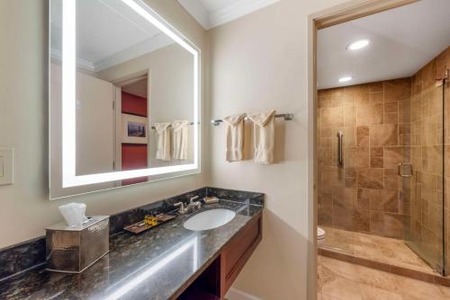 a bathroom with a sink and a shower at Best Western Plus White Bear Country Inn in White Bear Lake