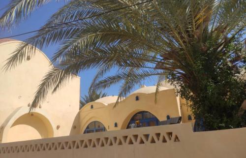 a palm tree in front of a building at Lemon tree villa in Tunis