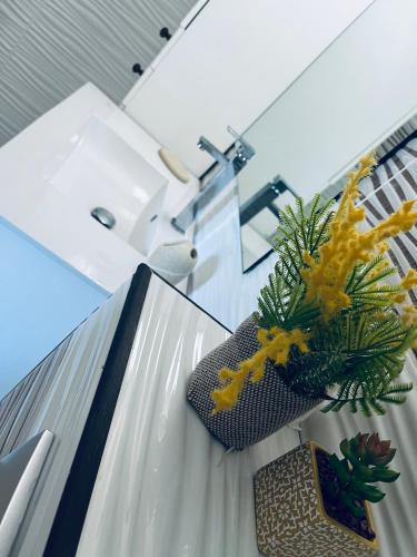 a vase with a plant on a glass table at Villa Salako, Terre-de-Bas - Bas de Villa in Terre-de-Bas