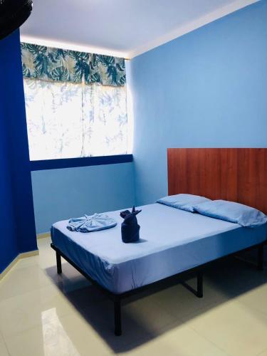 a blue bedroom with a bed with a cat sitting on it at HOTEL EMPERADOR PREMIUM in Jamundí