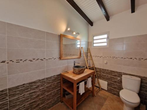 a bathroom with a toilet and a mirror at Le Jeïpur Villa vue mer piscine privée in Saint-François
