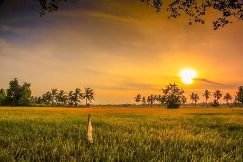 Matahari terbit atau terbenam yang dilihat dari rumah tamu ini atau berdekatan