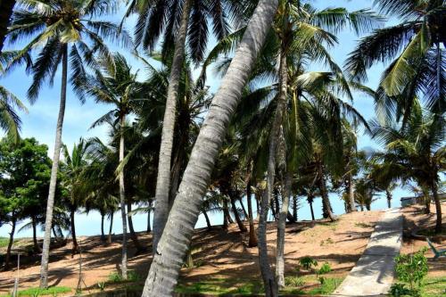 a group of palm trees on the beach at Beach Bungalow in Hambantota