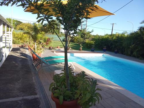 Басейн в Rico або поблизу