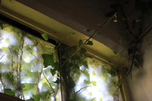 Photo de la galerie de l'établissement Posada Newen, à La Consulta