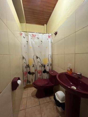 La salle de bains est pourvue de toilettes et d'un lavabo. dans l'établissement CASA FANNING, à Iquitos