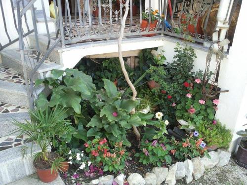 Κήπος έξω από το Apartments Blago Sutomore