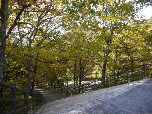 a fence on a path in a park with trees at Kyukamura Nikko-Yumoto in Nikko