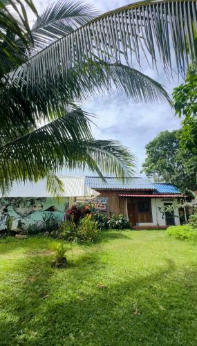 a house with a palm tree in front of a yard at Lazy Bones in Koh Rong Sanloem