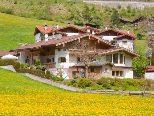 a house on a hill with a field of flowers at Adlerhorst , Gstan 31 in Finkenberg