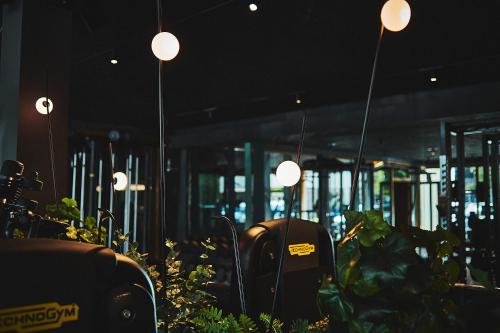 a row of lights in a building with plants at Hotel Zugbrücke Grenzau GmbH in Höhr-Grenzhausen