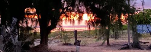 um pôr-do-sol sobre uma praia com árvores e o oceano em La Villa l'Ancre Marine, pieds dans le lagon ! em La Saline-Les-Bains
