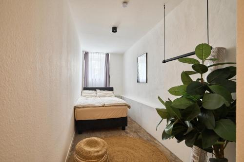 a small room with a bed and a plant at Cityapartment für bis zu 8 Personen in Berlin