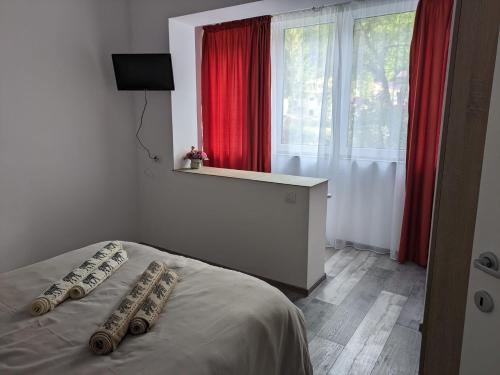- une chambre avec un lit et une fenêtre avec des rideaux rouges dans l'établissement Apartamentul ALFA, à Slănic-Moldova