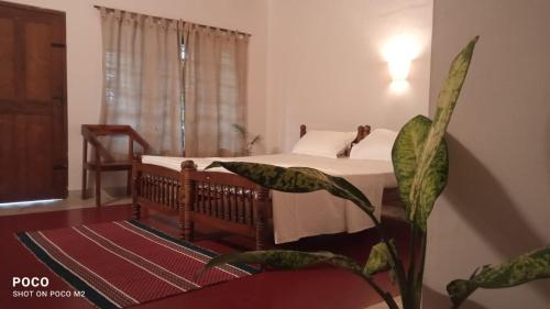 um quarto com uma cama com uma planta e uma janela em The Clift em Varkala