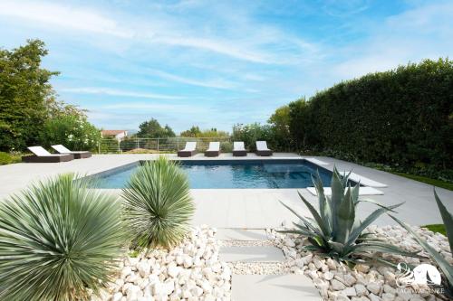 馬內爾巴德爾加爾達的住宿－Villa Luisa，庭院里带椅子和植物的游泳池