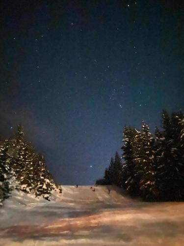 a starry sky with trees and snow at night at Apartman Vlašić Hary in Vlasic