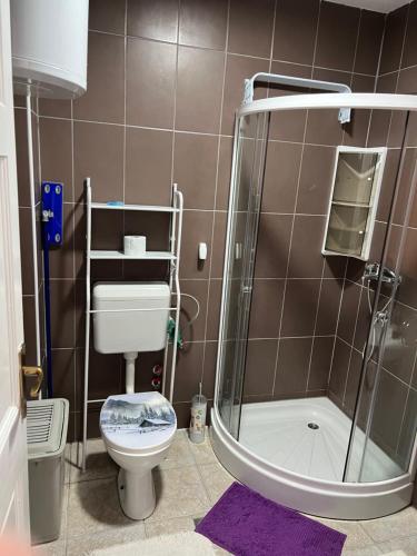 a small bathroom with a shower and a toilet at Apartman Vlašić Hary in Vlasic