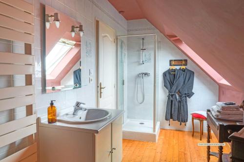 y baño con lavabo y ducha. en Les Pierres Bleues en Saint-Coulitz
