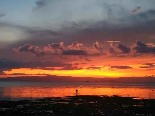 a person standing on the beach at sunset at Beach House at Carolina del Mar in Samboan