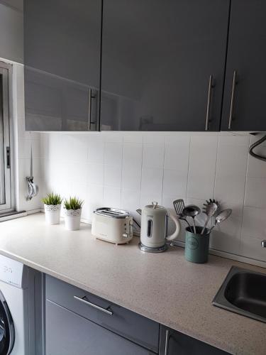 埃斯托利爾的住宿－O. Li Apart Estoril，厨房柜台上摆放着两个烤面包机和植物