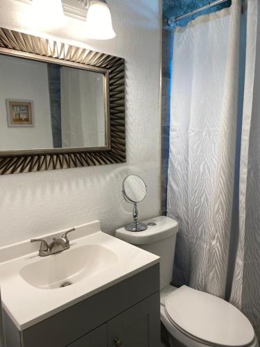 bagno con lavandino, servizi igienici e specchio di Charming City Bungalow a Jacksonville