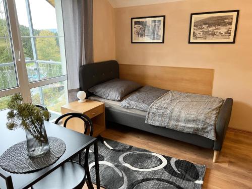 Habitación pequeña con cama, mesa y sidra de mesa en Apartmány Gryf Harrachov, en Harrachov