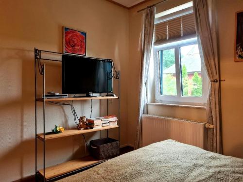 a bedroom with a bed and a television on a shelf at Hus Sünnschien in Alt Reddevitz