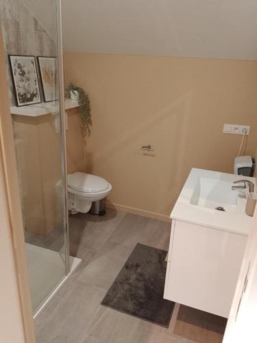 a bathroom with a shower and a toilet and a sink at La folie 20 Spa in Hon-Hergies