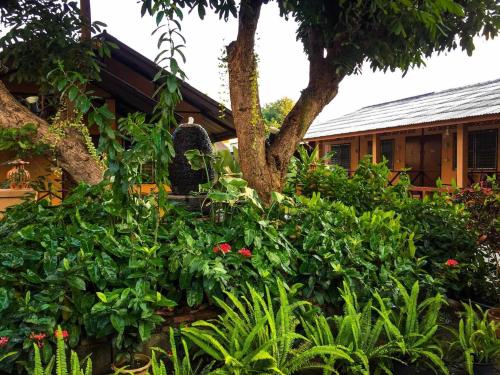 a garden in front of a house with plants at Charlie's House in Pai
