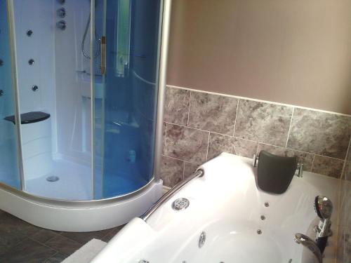 een badkamer met een douche en een wit bad bij Yew Tree House in Paignton